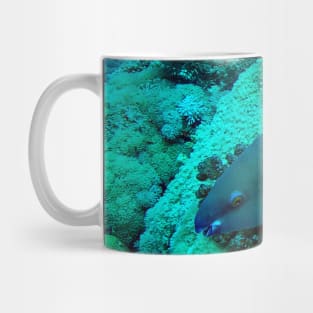 Parrot fish Mug